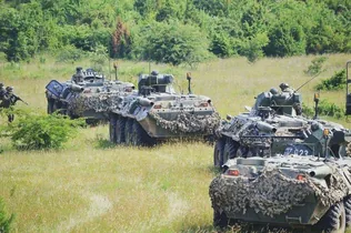 Lőtéri értesítő május borítóképe