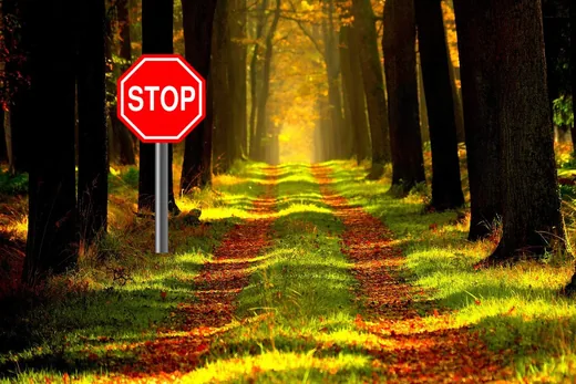 'Erdőlátogatási korlátozás' cikk borítóképe