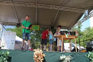 2017 Ösbő Vezér napok/ szombat/ képekben