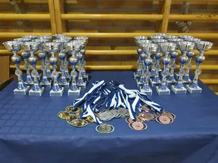 Újabb sikerek borítóképe