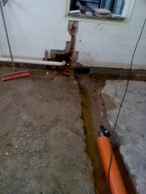 Megújulás képei 2017