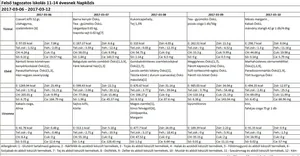 Felsős napközis március 2017