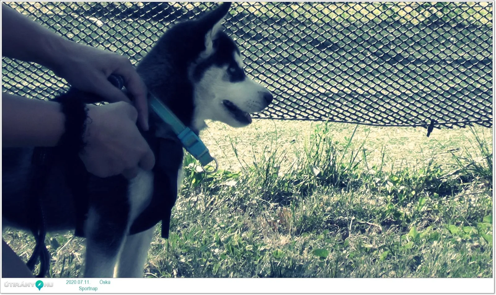 Sportnap 2020 Képek