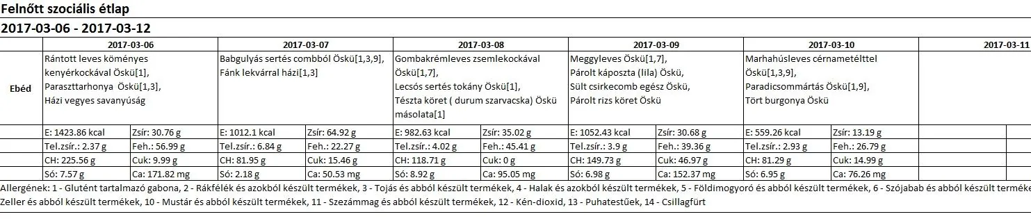 Felnőtt szociális március 2017