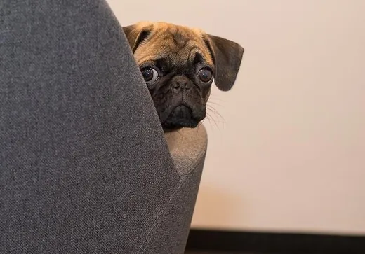 'Eboltás' cikk borítóképe