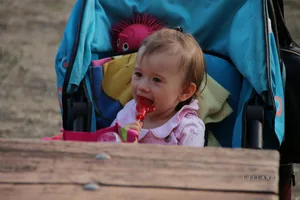 2017 Ösbő Vezér napok/ szombat/ képekben