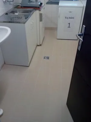 Megújulás képei 2017