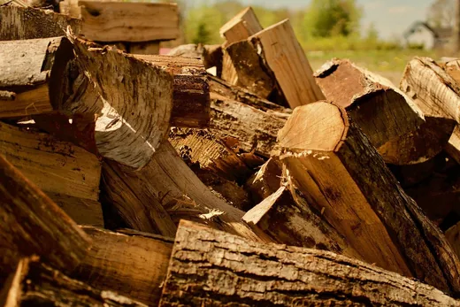 'Állami tűzifaprogram a magyar családok részére ' cikk borítóképe