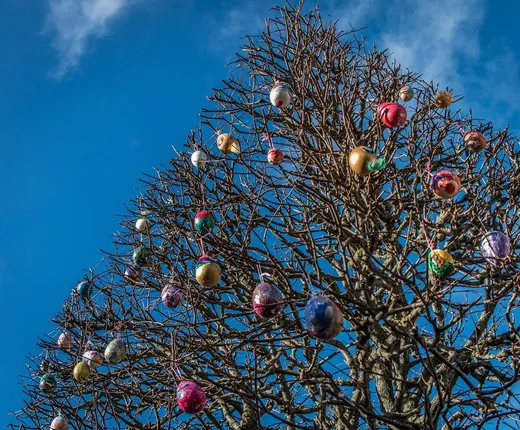'Tojásfa díszítés' cikk borítóképe