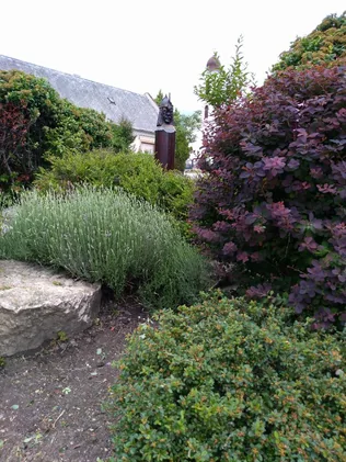 Virágos Öskü borítóképe