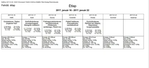 Januári étlap felnőtt