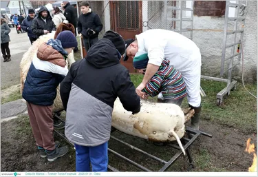  Öskü és Martos – Testvér Toros Fesztivál