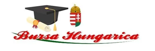 'Bursa Hungarica Ösztöndíjpályázatok' cikk borítóképe