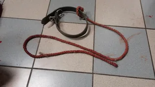 Baleset történt a 8.sz. főút ösküi lehajtójánál egy kutya miatt borítóképe