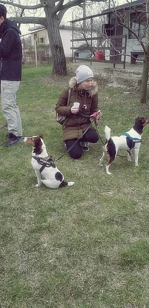 2019 Nemzeti Emléktúra képekben. Fotók: Kaptur József