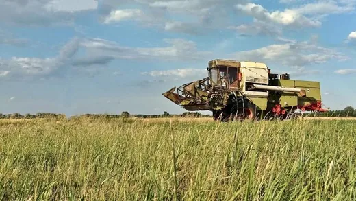 'Mennyi lesz a magtárban az aratás végén?' cikk borítóképe