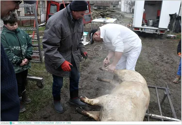 Öskü és Martos – Testvér Toros Fesztivál