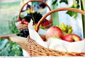 Fotók, Útirány.hu