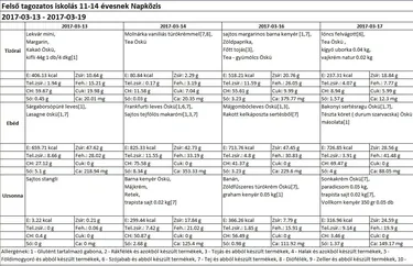 Felsős napközis március 2017