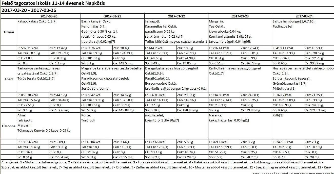 Felsős napközis március 2017