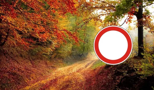 'Bakonyi erdőt látogatók figyelmébe!' cikk borítóképe