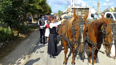 Öskü Szüreti Mulatság