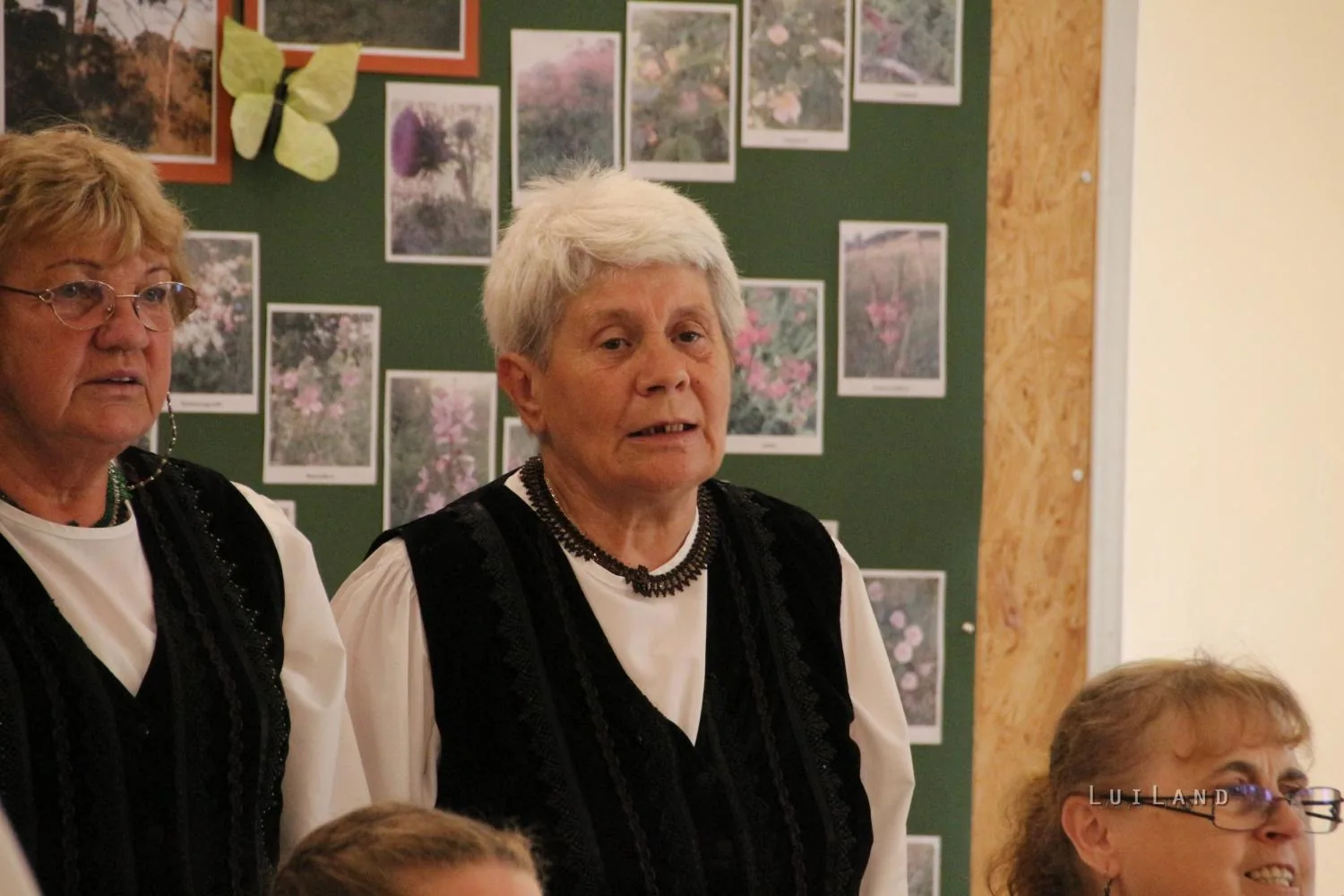 2017 Ösbő Vezér napok /péntek/, képekben.