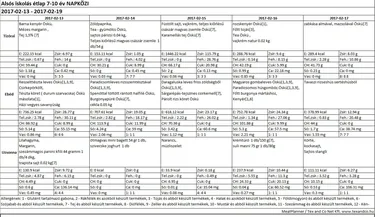 Iskola napközis alsós étlap