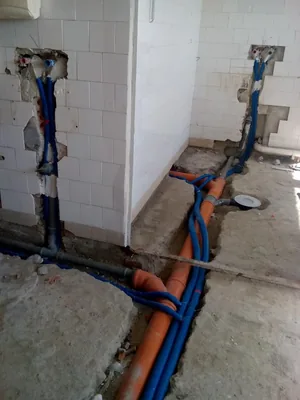 Megújulás képei 2017