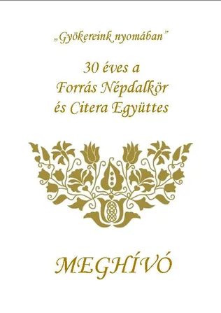 30 Éves Jubileumi Népzenei Találkozó borítóképe
