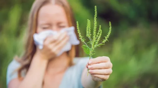 'Határszemle és parlagfű helyszíni ellenőrzés' cikk borítóképe