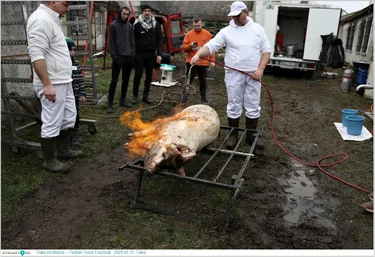  Öskü és Martos – Testvér Toros Fesztivál