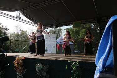 Ösbő Vezér Napok 2017