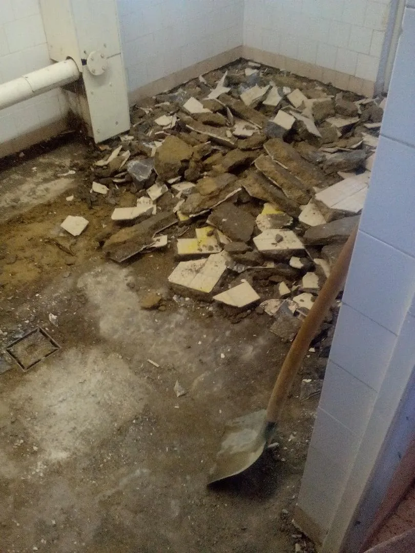 Megújulás képei 2017