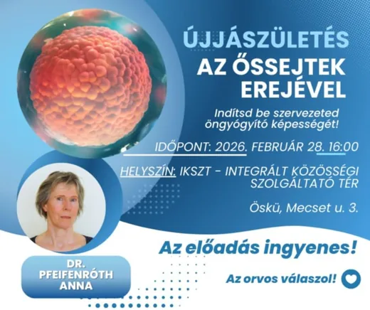 'Az őssejtek rejtéjével...' cikk borítóképe