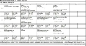 Felsős napközis április