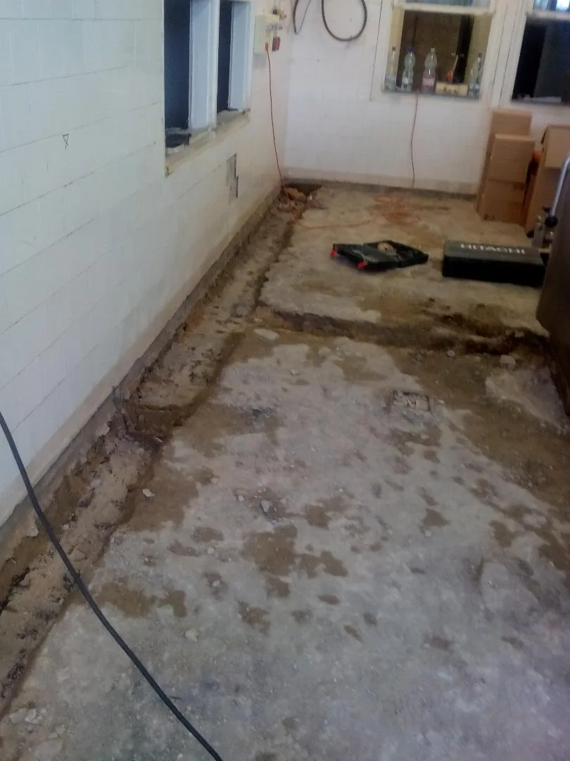 Megújulás képei 2017