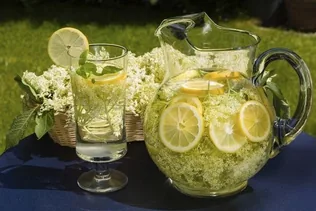 Bodzaszedés és szörpkészítés borítóképe