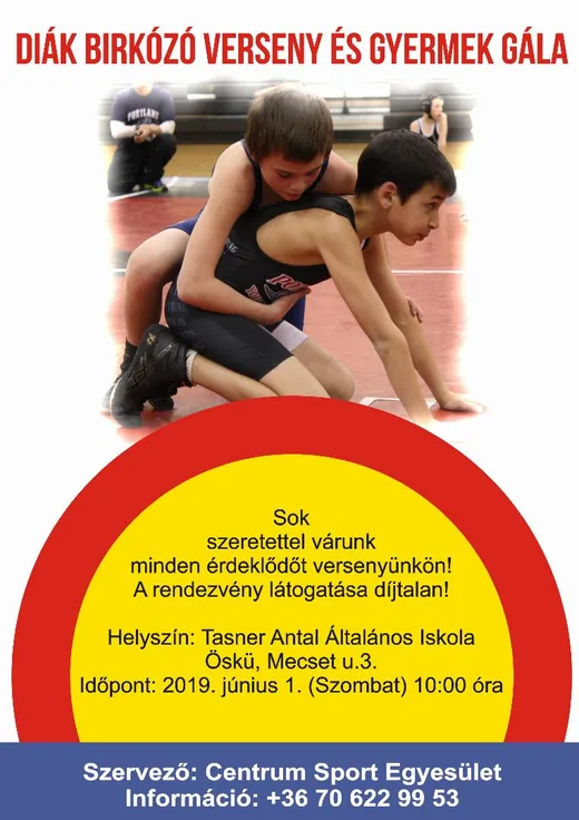 'Diák birkózó verseny és gyermekgála' cikk borítóképe
