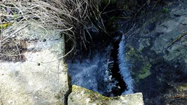 Aranyos kút borítóképe