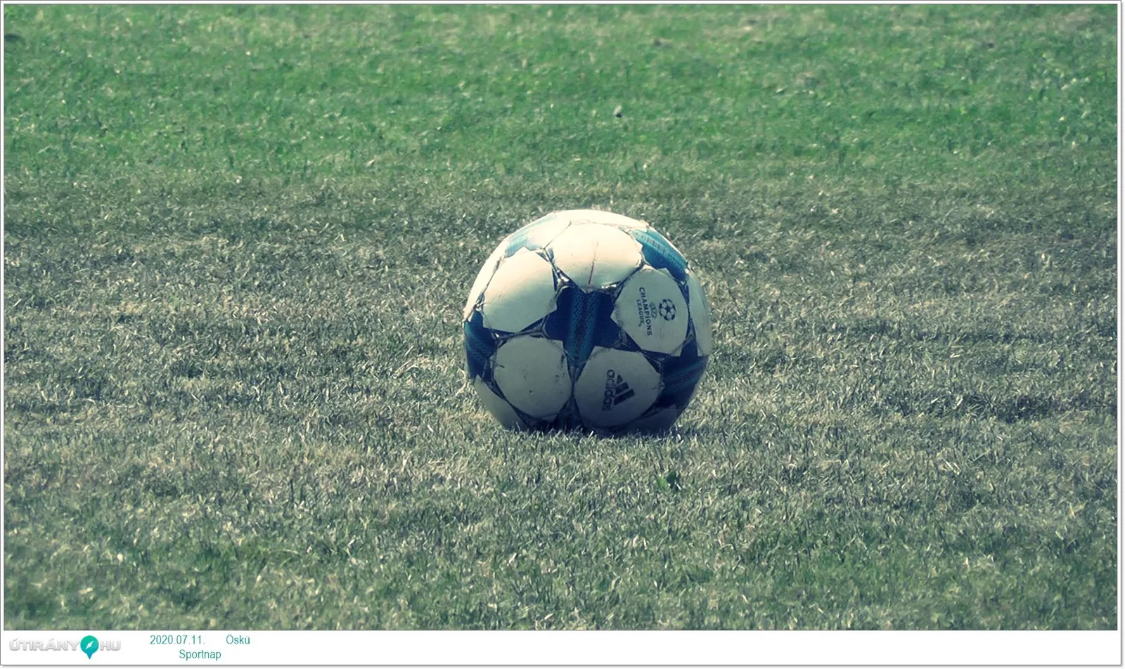 Sportnap 2020 Képek