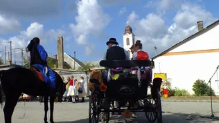 Öskü Szüreti Mulatság borítóképe