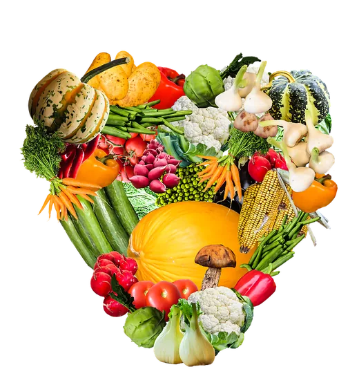 'Egészségmegőrző, életmód változtató program' cikk borítóképe