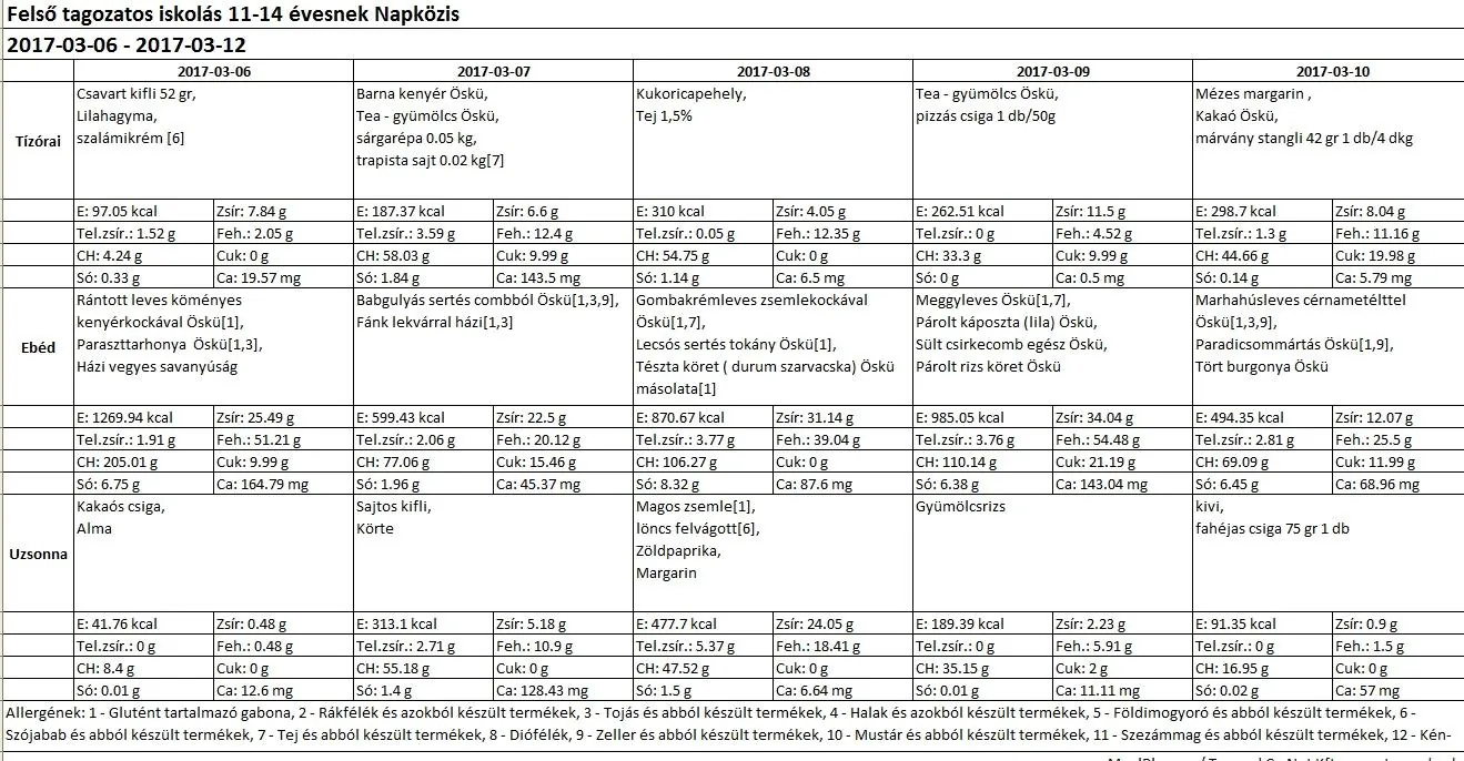 Felsős napközis március 2017