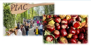 Kirándulás a Liliompiacra és a Gesztenye Fesztiválra borítóképe