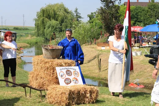 'Ösbő Vezér Napok 2016' cikk borítóképe