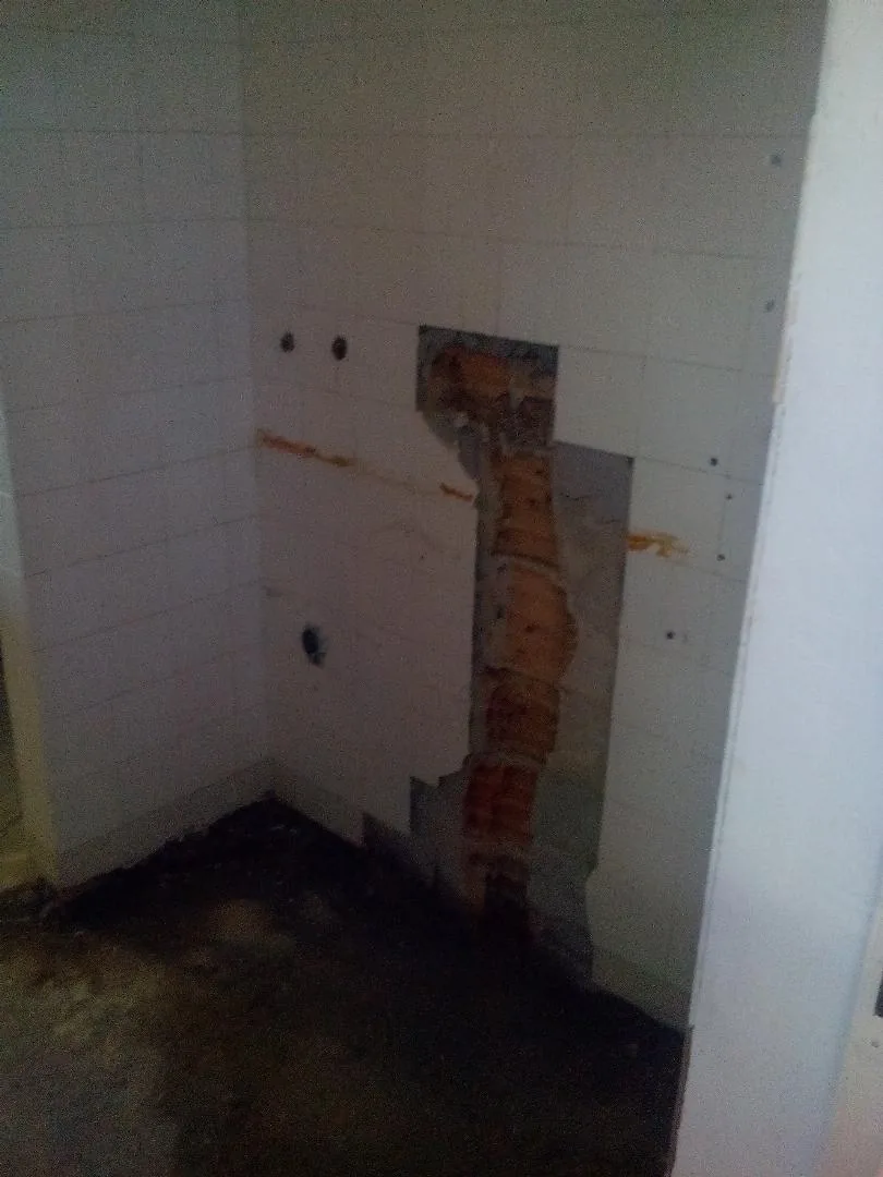 Megújulás képei 2017