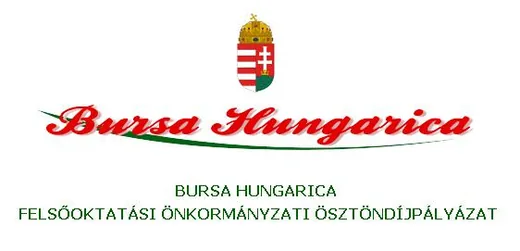 'Felhívás - Bursa Hungarica pályázatra' cikk borítóképe