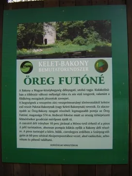 Öreg Futóné borítóképe