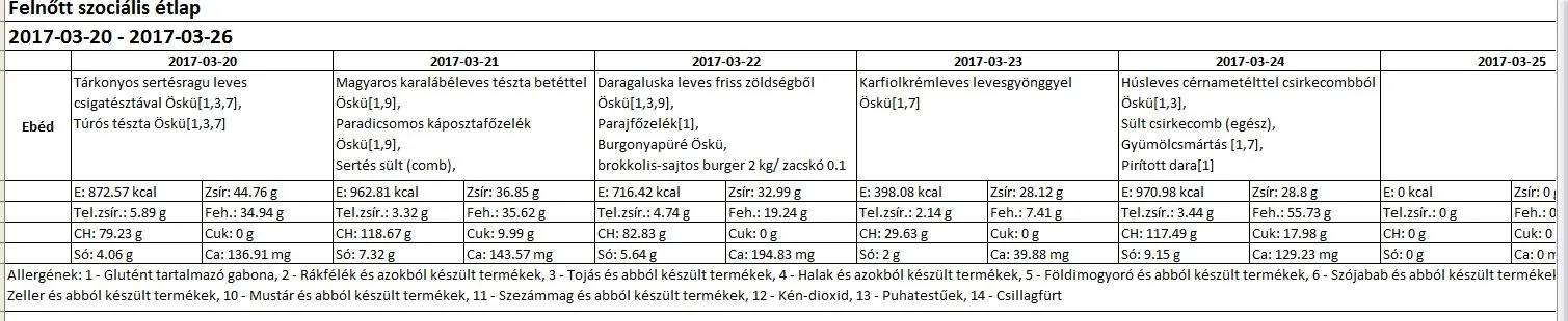 Felnőtt szociális március 2017